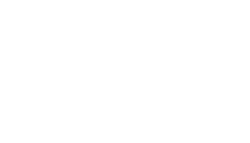 Brighton Healthcare All White Logo